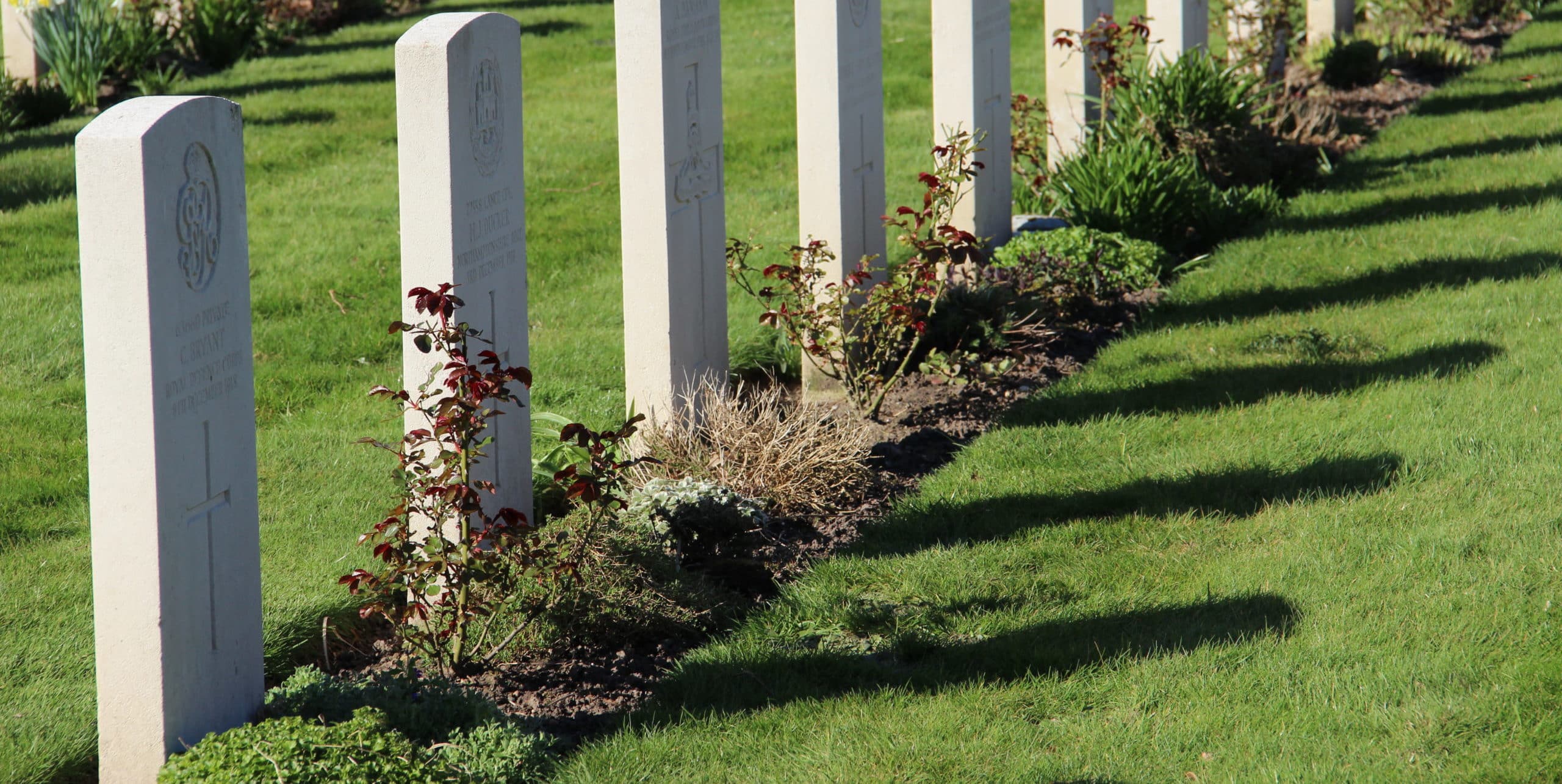 shadows being cast from military graves