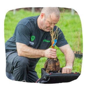 UK veteran planting trees for Funeral Streaming